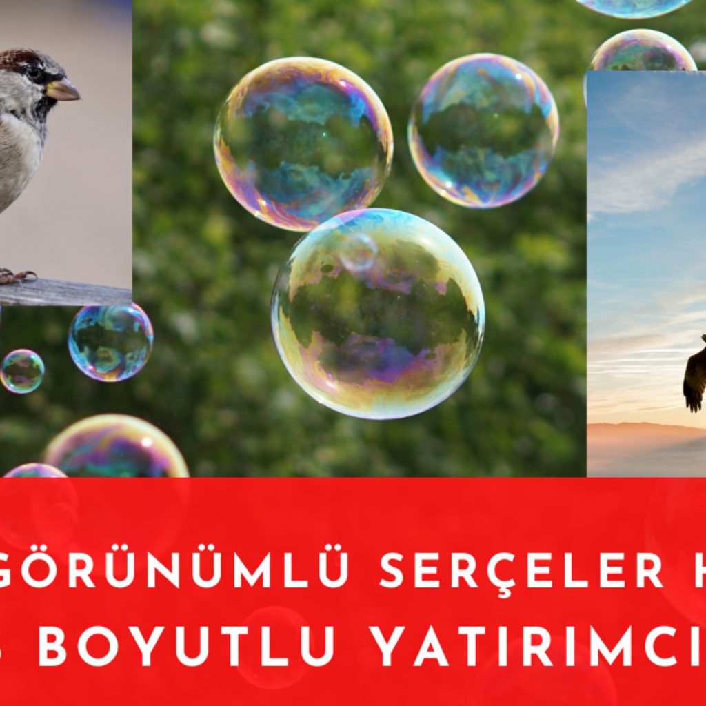 Küçük Yatırımcı Ne Yapmalı? podcast bölüm kapağı