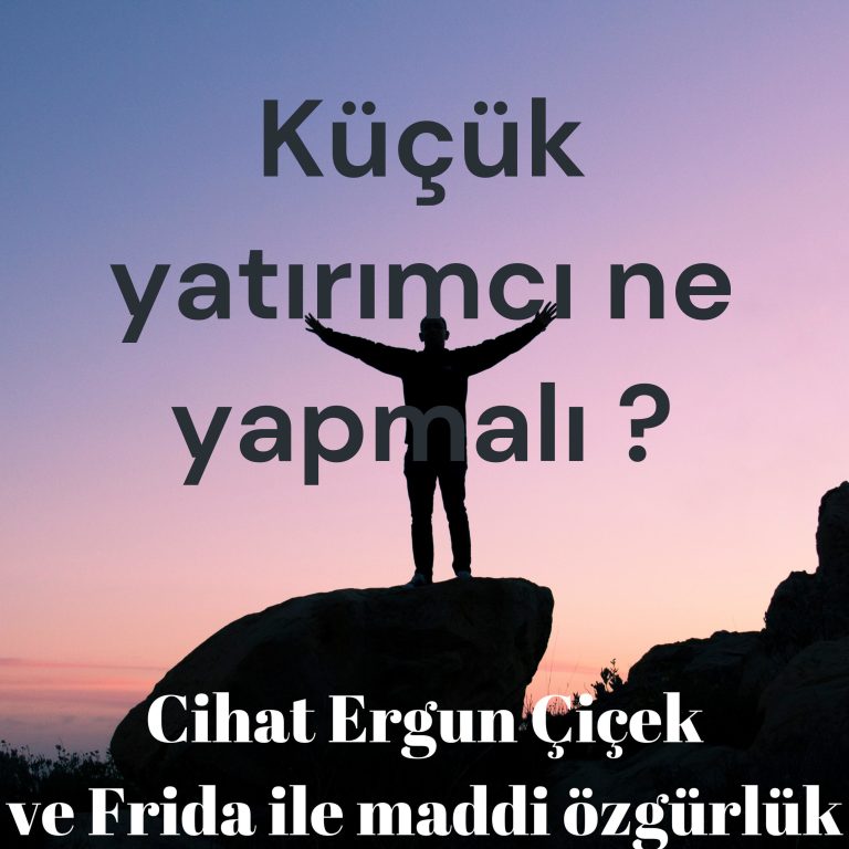 Küçük Yatırımcı Ne Yapmalı? podcast bölüm kapağı